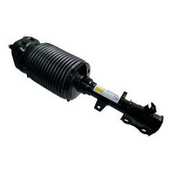 01374 Amortiguador Trasero Izquierdo Lexus Rx 3